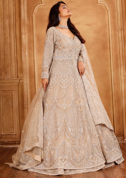 Beige Color Net Heavy Hand Work Indo Western
