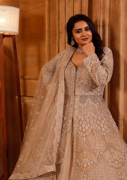 Beige Color Net Heavy Hand Work Indo Western